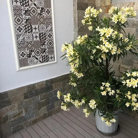 Casa Angela 民宿 普里莫尔斯科